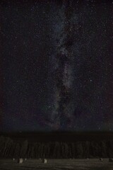 milky way and stars in night