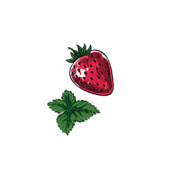 Strawberry Illustration. Hand-Drawn Strawberry with Leaves. Fresh Fruit Vector Art.