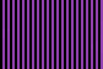 Shocking Purple Flower color and black color background with lines. traditional vertical striped background texture..