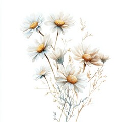 Fototapeta premium Delicate white daisies arranged artfully with soft touches of greenery in a whimsical design