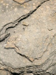 Weathered rock surface close-up
