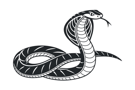 Snake Vector Art Illustration