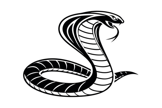 Snake Vector Art Illustration