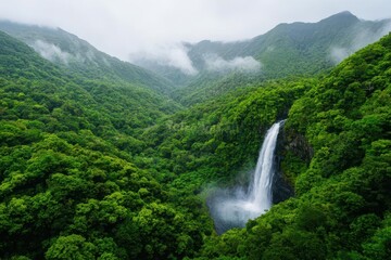 Fototapeta premium exotic destinations concept. Iriomote Island, Japan Explore hidden waterfalls and dense mangrove forests on this untouched subtropical island