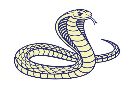Snake Vector Art Illustration