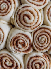 Raw cinnamon buns close-up. Food background