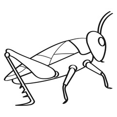  insect vector illustration design