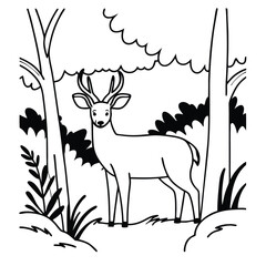 deer in the forest
