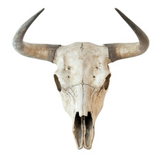 Unique decorative bull skull for ranch style décor