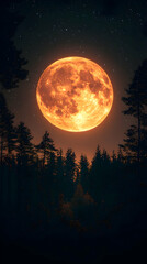 Fototapeta premium Large orange moon rising over dark forest silhouette at night.