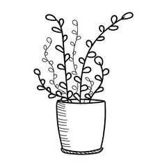 plant in a pot isolated vector illustration