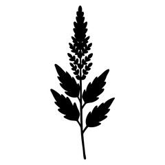 silhouette of a plant