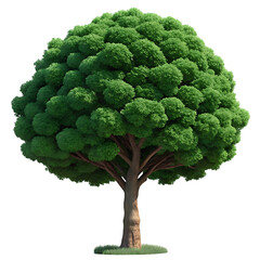 Green Tree on Transparent Background