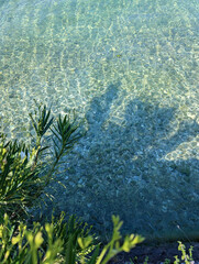 Crystal clear water and oleanders along the coast