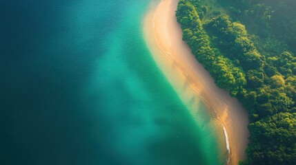 Aerial view of a secluded beach curving between turquoise ocean and lush green forest.