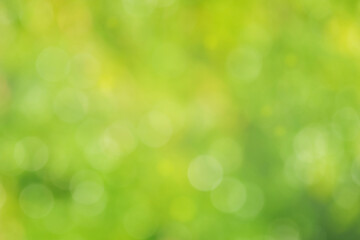 Obraz premium Defocus light green with yellow background. Bokeh, blurred greenery