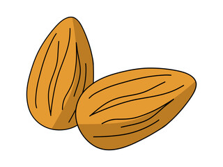 A close-up of a single almond nut with its brown skin and ridges, against a plain white background