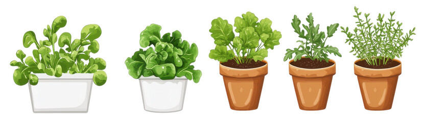 Growing fresh herbs and greens indoor garden digital illustration lush environment overhead view sustainable living