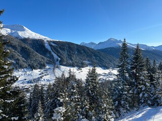 Picturesque canopies of alpine trees in a typical winter atmosphere in the Swiss Alps and over the tourist resort of Davos - Canton of Grisons, Switzerland (Kanton Graubünden, Schweiz)