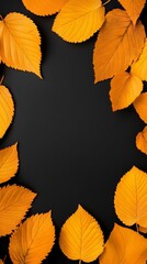 Fototapeta premium Autumn leaves arranged in a frame on a black background. The vibrant orange hues create a striking contrast against the dark backdrop. Perfect for fall-themed designs.