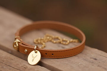Golden Retriever Day with a golden dog collar featuring an engraved tag resting on a rustic wooden surface