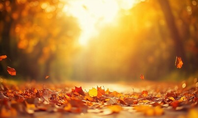 Autumn leaves scattered on pathway, warm golden sunlight filtering through trees, creating serene fall atmosphere