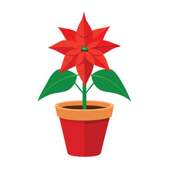 red poinsettia flower in a pot