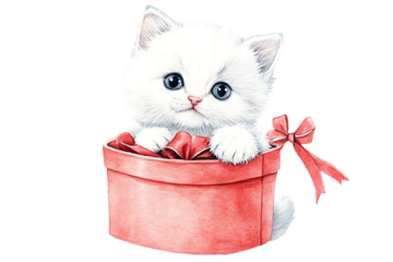 [Transparent Background PNG]Cute White Kitten in a Gift Box