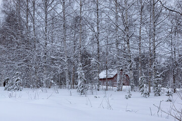 Small red wooden house in a snowy forest