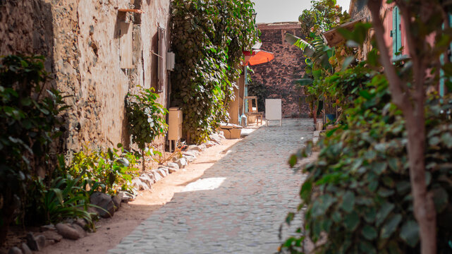 Alley full of leaves and foliage on the famous island of Goree, close to Dakar, known for being the last station of african slaves before being exported to other countries.