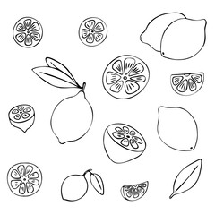 Lemon fruit doodle set. Half, whole, slices, leaves. Black hand-drawn contour isolated on a white background. Suitable for menus, coloring pages books, web design, prints, cups, mugs, kitchen design