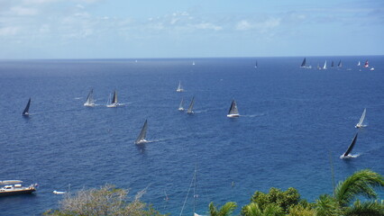Obraz premium Sailboats sailing away on the Caribbean sea during a race or an event located in Saint-Barthélémy, French West Indies.