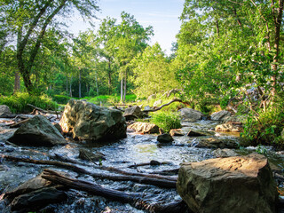 Rocky stream in Spring