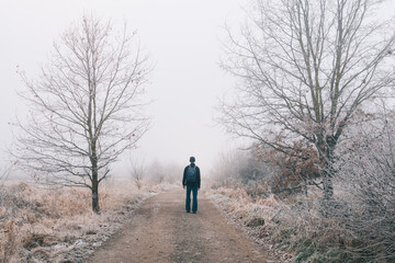 Man walking on path with trees and grass covered frost in morning fog. Czech winter landscape