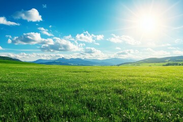 Obraz premium Vibrant green meadow under a bright blue sky with fluffy clouds and majestic mountains in the distance
