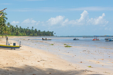 Fototapeta premium Landscape of Sao Miguel dos milagres, Alagoas, Brazil. With many coconut trees and fish boats around the beach.