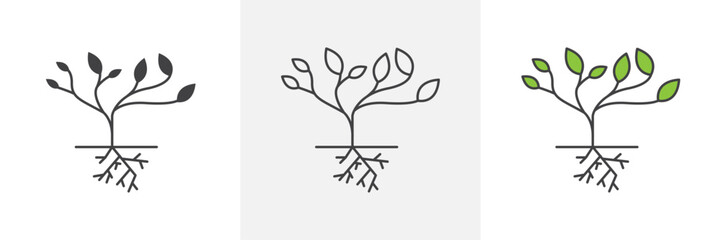 Tree with roots and leaves icons in black and colored versions