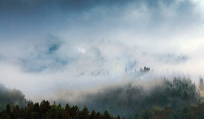 Wiosenne Pieniny Spowite Mgłą  © Wojciech Lisiński