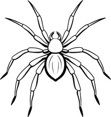 Abstract Spider Line Art Vector Illustration Artwork