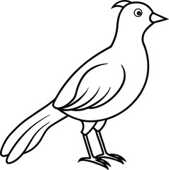 Minimalist Bird Line Art Design Vector Illustration