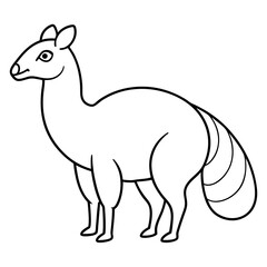 Coloring page line art Ambarella vector illustration 