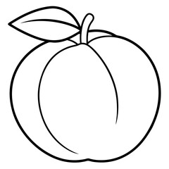 Coloring page line art apricot vector