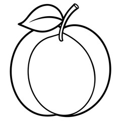 Coloring page line art apricot vector
