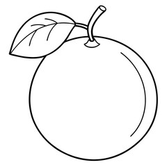 Coloring page line art calamansi vector illustration