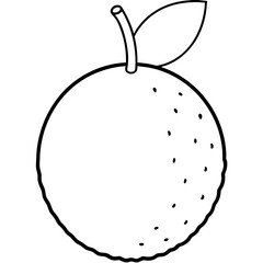 Coloring page line art lychee vector 