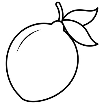 Coloring page line art mangaba vector