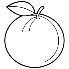 Coloring page line art Orange vector 