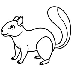 squirrel  line art vector illustration