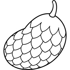 Coloring page line art salak  snake fruit vector