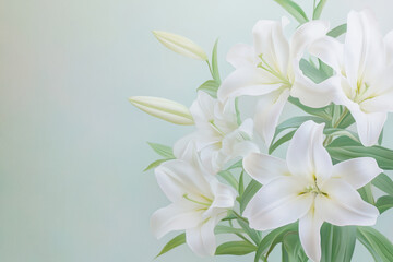 Naklejka premium Elegant white lilies on a soft pastel background
